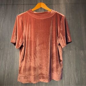 Anthropologie Velvet Short Sleeve Top Size L Mauve Pink